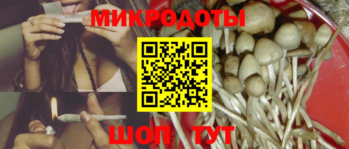 Галлюциногенные грибы MAGIC MUSHROOMS  Псилоцибиновые грибы MAGIC MUSHROOMS  где найти   Сухой Лог  Вход с VPN 